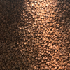 Close-up of roasted coffee beans with a gradient from extra light brown to light brown.
