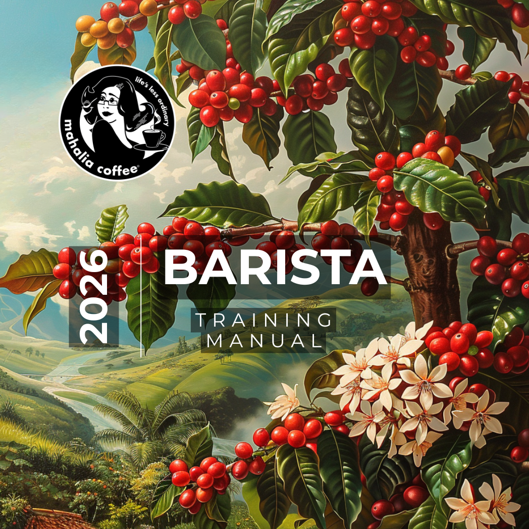 Every barista starts somewhere