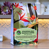 Ethiopia Guji Natural Specialty Coffee – Specialty Coffee | Mahalia Coffee