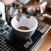 Indonesia Sumatra Blue Bianca - Specialty Coffee – Specialty Coffee | Mahalia Coffee